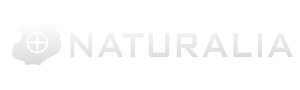 NATURALIA Ecotourism Boavista Capo Verde
